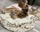 精神的な病気、うつ病でも恋愛や結婚できます 辛い努力も救われるはず！恋愛や結婚で人生が180度変わります イメージ2