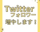 Twitterフォロワー 1,000人～増やします どこよりも安心安全・高品質の商品！ イメージ1