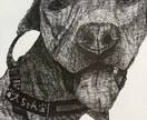 かっこいい動物/ペットのボールペン画描きます プレゼントやご自宅に★世界に一つだけのリアルタッチイラスト イメージ2