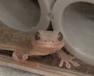 職場のモヤモヤ、愚痴聞きます 同じ製造業だからわかる。現場のリアルな不満、全部吐き出して。 イメージ5