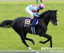 地方、中央競馬の予想と買い目を出します 中央競馬、地方競馬の予想、買い目 イメージ1