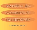 ガス溜まり、多すぎるおならを減らすサポートをします SIBOの方へガスを減らす食事のアドバイスをします イメージ2