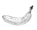 デッサン風の手書きモノクロイラスト描きます 挿絵やワンポイントに。複数発注も承ります！ イメージ6