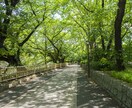 自分に自信がない人。じっくりと話をききます 自分に向き合って今の自分の一歩先を目指していきませんか？ イメージ6