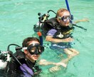 タイ、タオ島への旅行、ダイビング情報をご案内します タオ島でのダイビングインストラクター勤務経験でお応えします! イメージ6