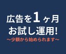 広告を1ヶ月運用し改善レポートを提出します 少額で広告をテスト!運用〜改善提案までお任せください イメージ1