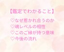 2人の魂レベルでのつながりと関係性を鑑定します 惹かれ合う理由と2人のご縁を丁寧に読み解きます イメージ2