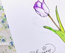 お花のイラストを色鉛筆で描きます お花の絵を飾ろう。生花じゃなくても絵で癒される時間を イメージ3
