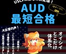 USCPA合格者がAUD攻略ノートを販売します 7ヶ月でUSCPA全科目合格のノウハウを凝縮した完全攻略本 イメージ1