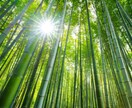 初回1000円☆易占断と九星氣学で占います このまま行けばどうなるの？二者選択で悩まれているかたへ イメージ2
