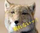 何でもぶつけてみて。どんな話でも聞きます 愚痴・恋愛相談・病み・世間話・ムフフな話、なんでも！！ イメージ5