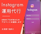 Instagramの運用代行をいたします 目標を叶えることができるアカウント運用を行います イメージ1