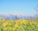 ペットとの思い出を残します ペットとあなたの思い出を写真としてそばに置きませんか？ イメージ5