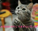 電話で話そぉ♪周りに言えない人生の悩み秘密聞きます 愚痴❗恋愛　仕事❗心の悩みを吐き出すことで楽になりませんか？ イメージ6