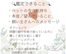 ペットの気持ちをタロットで視ます ※ 生きている子も虹の橋の子も対応。心のケアも丁寧にサポート イメージ4