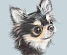 ふんわりやさしいタッチで似顔絵をお描きします 愛犬・愛猫のアイコン、プレゼント用にも！商用利用可⭐︎ イメージ1