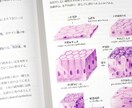 医学部卒が医療系、生物系大学院の試験対策します 医療系学部の基礎医学、定期テスト、大学院、国試対策を致します イメージ4