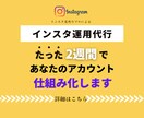 私が２週間でインスタ運用仕組み化します まずは気軽にご相談ください‼︎ イメージ1