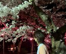 恋愛.仕事.友人関係での悩みを聞きます 話したいけど話せないからこそ知らない他人にお話ししませんか？ イメージ2