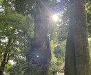 誰にも話をする事ができない時、私が聞きます 心のモヤモヤを吐き出し新たな一歩を踏み出そう イメージ3