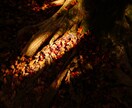 初心者が風景・街 写真素材提供します 低価格でオリジナルと調整済の写真素材を提供！ イメージ6