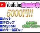 丸投げOK!!YouTube動画編集承ります 柔軟対応!!YouTube動画をがっつり編集いたします。 イメージ1