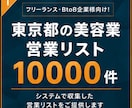 美容業（東京）の営業リスト提供します 【法人営業・BtoB】営業リスト10000件 イメージ1