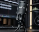 ドイツ語ナレーションで観光PRをお手伝いします ドイツ在住17年・ネイティブ発音でPRします イメージ3