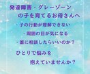 発達障害・グレーの子を育てるお母さんを応援します ちょっとお試し初回限定￥500- イメージ3