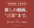 推しの韓国YouTube動画、字幕付きで翻訳します SRT字幕+テキスト納品！韓国動画をスピード翻訳 イメージ1