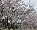 高校・大学受験に関する相談に乗ります お子様でも保護者様でも、現役大学生が受験相談に乗ります。 イメージ1