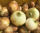 自然栽培・有機栽培による野菜の作り方を教えます 無農薬・無肥料又は有機肥料・固定種による野菜栽培を伝授 イメージ9