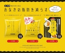 ポップなデザインのLPを作成します ポップな世界観で、サービスの魅力をしっかり伝えます イメージ2