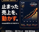 1ヶ月伴走でAmazon運営をサポートしますます 30ブランド・300商品の現役が、改善を最後まで伴走 イメージ1