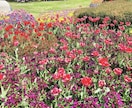 四柱推命で総合鑑定し⭐️タロットで答えを導きます ⭐️四柱推命で運気の流れを知り、タロットで解決策を導きます イメージ1