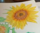 色えんぴつでの絵を描きます まだ予定中でして、しばしお待ちくださいませ。 イメージ2