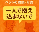 高齢ペットの介護や生活の悩みを一緒に考えます 日常ケアや生活改善の工夫を提案します イメージ1