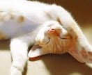 ココナラ笑顔No.1の私があなたを癒します 現役秘書があなたを和ませます✨ちょこっと元気が欲しい時に イメージ10