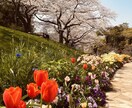 アラサー癒し系女性が疲れた心を受け止めます 私とデトックスしましょう！！人間関係、仕事、恋愛からなんでも イメージ4