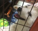 一人で悩んでるあなたへなんでも相談乗ります 誰にも言えない相談事や、相談したいけど相手が居ないあなたへ イメージ1
