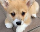 なるべくうまくいくように一緒に考えていきます 子供2児の母なので思春期や小さい子の悩みやその他も聞きます☆ イメージ1