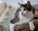 100枚以下の画像をAIにより高解像度化します 大量画像を高解像度処理したい方におすすめ イメージ1