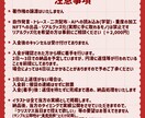 商用込み！クリスマスの量産イラストを描きます 配信や活動等で使える、ちゅるちゅる瞳の女の子イラストです！ イメージ4