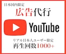 Youtube広告で日本人再生数 増やします 【最高品質のYoutube広告】ターゲットを細かく設定し拡散 イメージ1