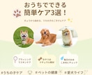 女性目線でお洒落なバナー作ります お客様に寄り添ったシンプルでお洒落なバナー製作を行います イメージ8
