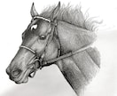馬の鉛筆モノクロアイコン描きます 写真から制作｜繊細な鉛筆タッチ・モノクロ＋差し色対応 イメージ1