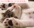 11年目現役男性看護師があなたの心に寄り添います 「誰かとちょっと話したい･･･」5分でもお話し聞きます！ イメージ9