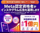Meta認定資格者がインスタグラム広告を運用します 広告費は別｜設計から入稿・改善まで1ヶ月お任せ イメージ1