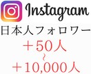 インスタの日本人フォロワーを増やします 格安高品質な日本人フォロワー50人〜10,000人 イメージ1