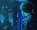 マイナス思考脱却！あなたに合わせたサポートをします マイナス思考、やめて楽しく生きましょう！ イメージ3